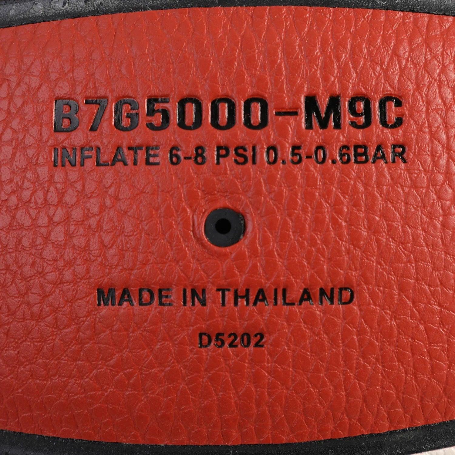 Offizieller Basketball BG5000